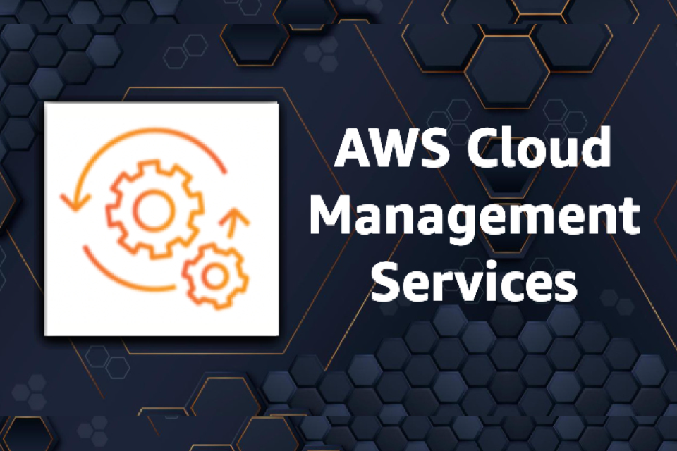 Services for cost analysis, consulting, operation, management of AWS Cloud...